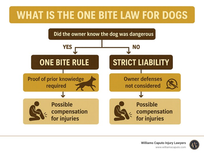 What Is The One Bite Law For Dogs? 5 Shocking Facts 2025