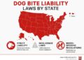 Dog Bite Attorneys: Top 5 Proven Experts 2025