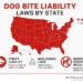 Dog Bite Attorneys: Top 5 Proven Experts 2025